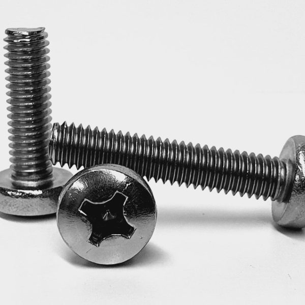 M2 x 10mm Pan Hd Phil M/T Gr 304 S/S