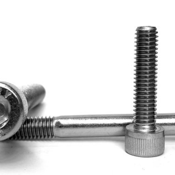 M2.5 x 18mm Socket Head Cap Screw Gr 304 S/S