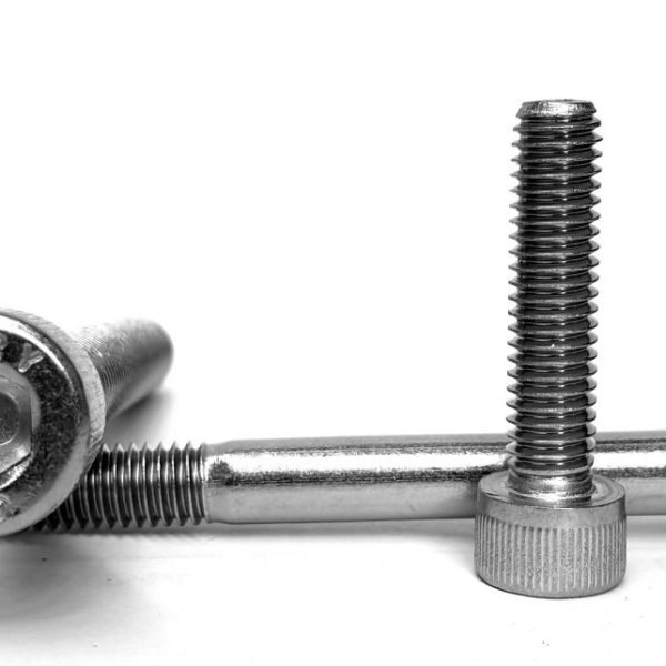 6-32 x 3/16 Socket Head Cap Screw Gr 304 S/S