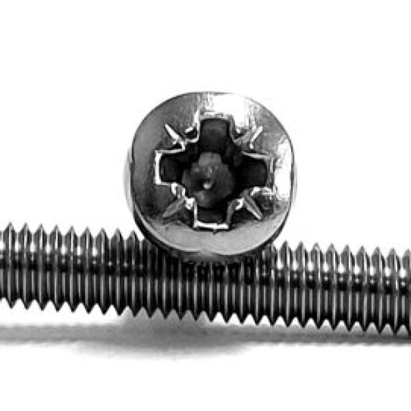 M2.5 x 12mm Pan Head Pozi M/T Gr 304 S/S