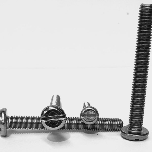 M2 x 6mm Pan Head Slot M/T Gr 304 S/S