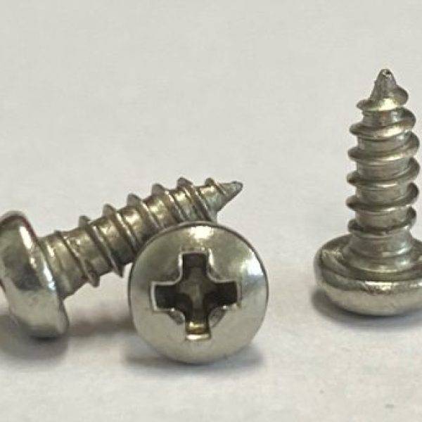 2g x 1/4 Pan Head Phil Self Tapper (AB) Gr 304 S/S